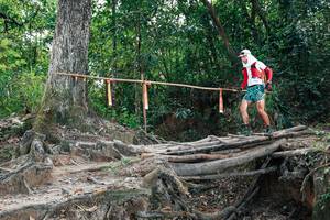 BIB: 
                            <button type="button" onclick="openModal(27803151)" class="btn btn-primary btn-sm float-right btn-popup" data-toggle="modal" data-target=".modal-high-quality">
                        <i class="fas fa-shopping-cart"></i> Add to Cart
                    </button>
                                            <button type="button" onclick="isThisMe(27803151, true)" class="btn btn-success btn-sm float-right btn-popup btn-isme hidden" data-toggle="tooltip" data-placement="bottom" title="นี่คือรูปของคุณใช่ไหม คลิกที่นี่เพื่อเอาเข้าอัลบั้ม">
                        <i class="fas fa-plus"></i> Add to album
                    </button>
                    <button type="button" onclick="isThisMe(27803151, false)" class="btn btn-warning btn-sm float-right btn-popup btn-isnotme hidden">
                        <i class="fas fa-ban"></i> Remove from album
                    </button>